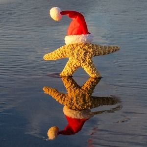 Meet your Posher, Ellen